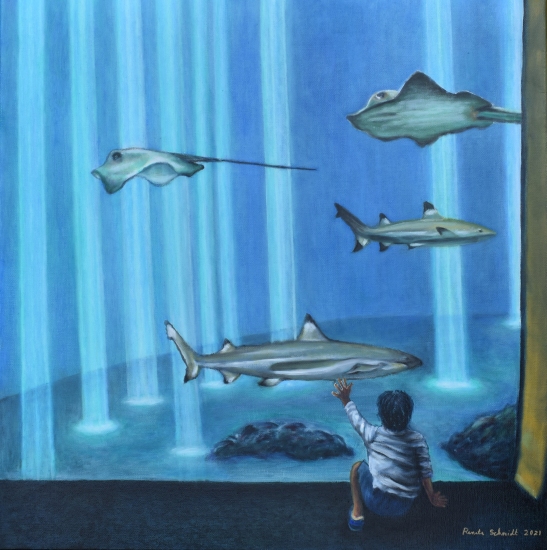 Boy reaching for shark